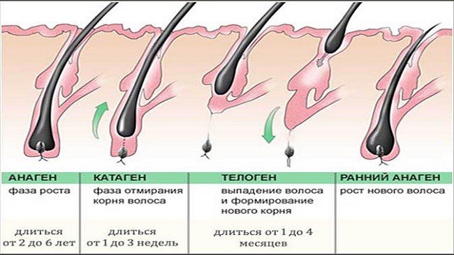 kak-otrastit-resnicy-v-domashnih-usloviyah-ehffektivnye-metody2