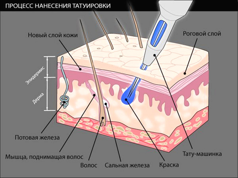 Процесс нанесения татуировки