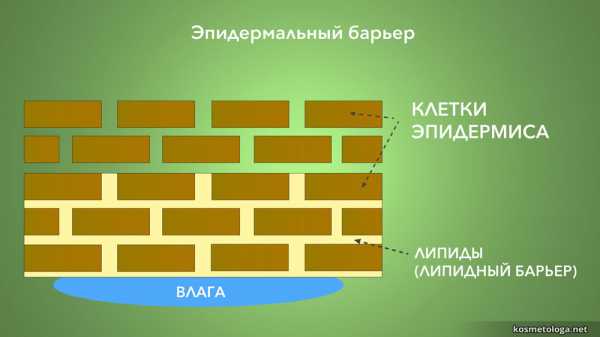 Гель для умывания для комбинированной кожи