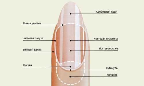 Как убрать кутикулы на ногтях