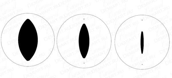 Глаза кошки картинки для аппликации